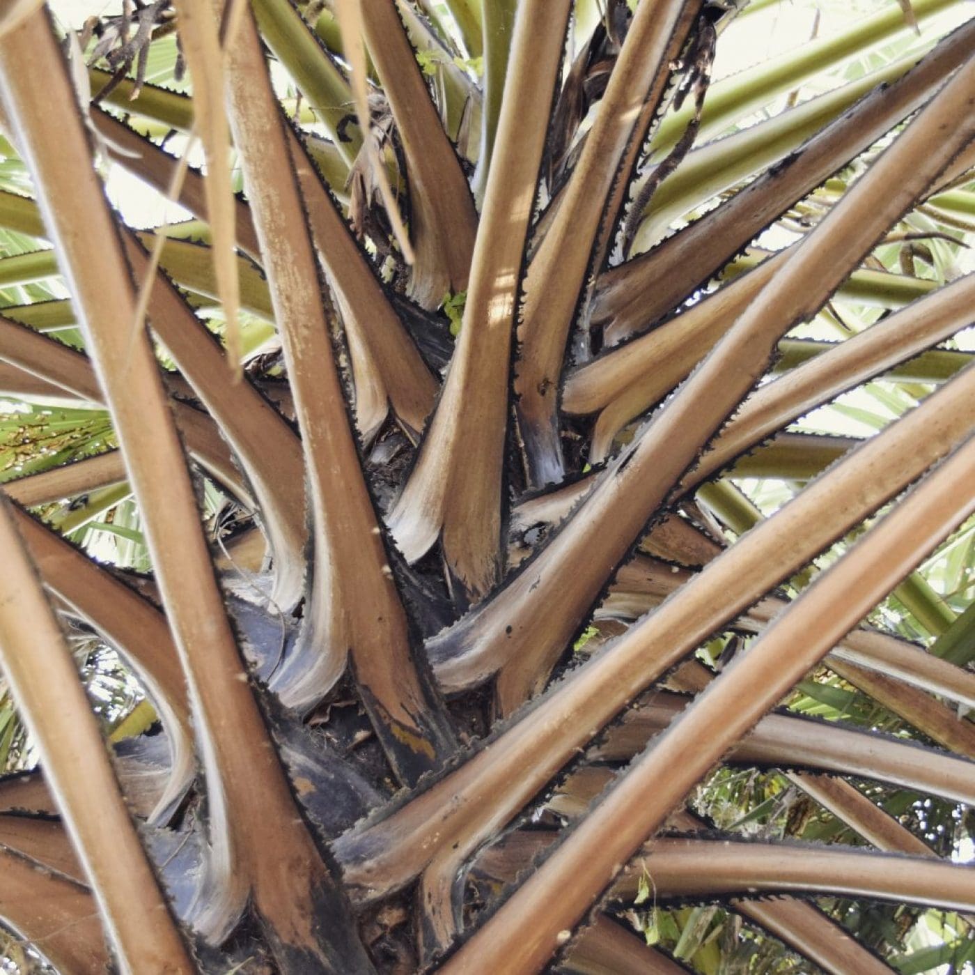 IMG_20170207_153440_744