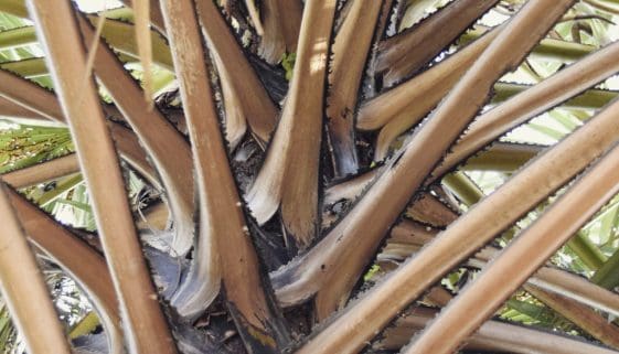 IMG_20170207_153440_744