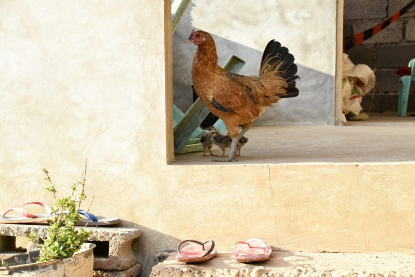 IMG_20170413_025948_067