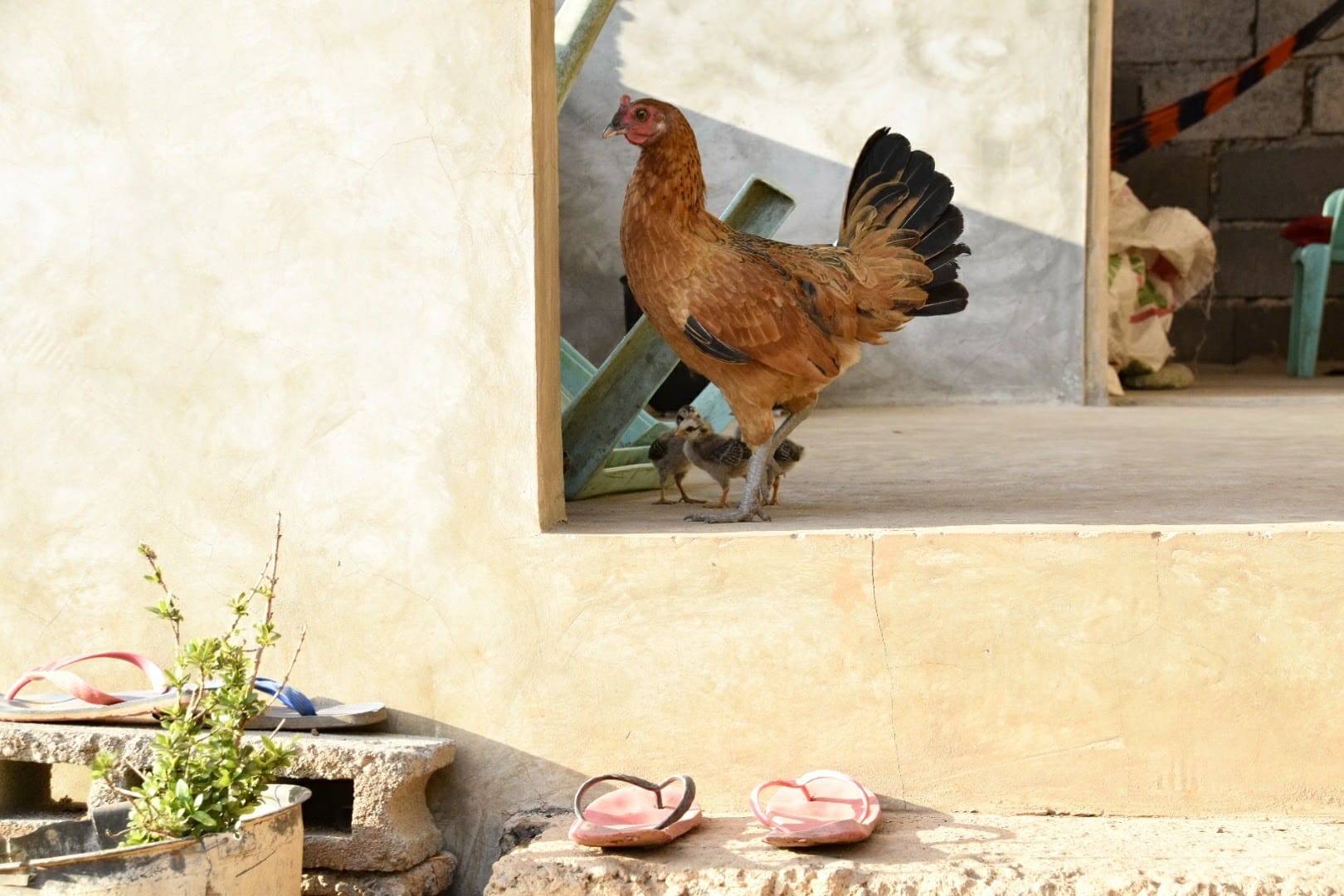 IMG_20170413_025948_067