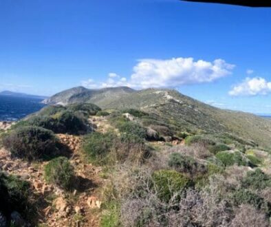 Photo from Google Photos (38)