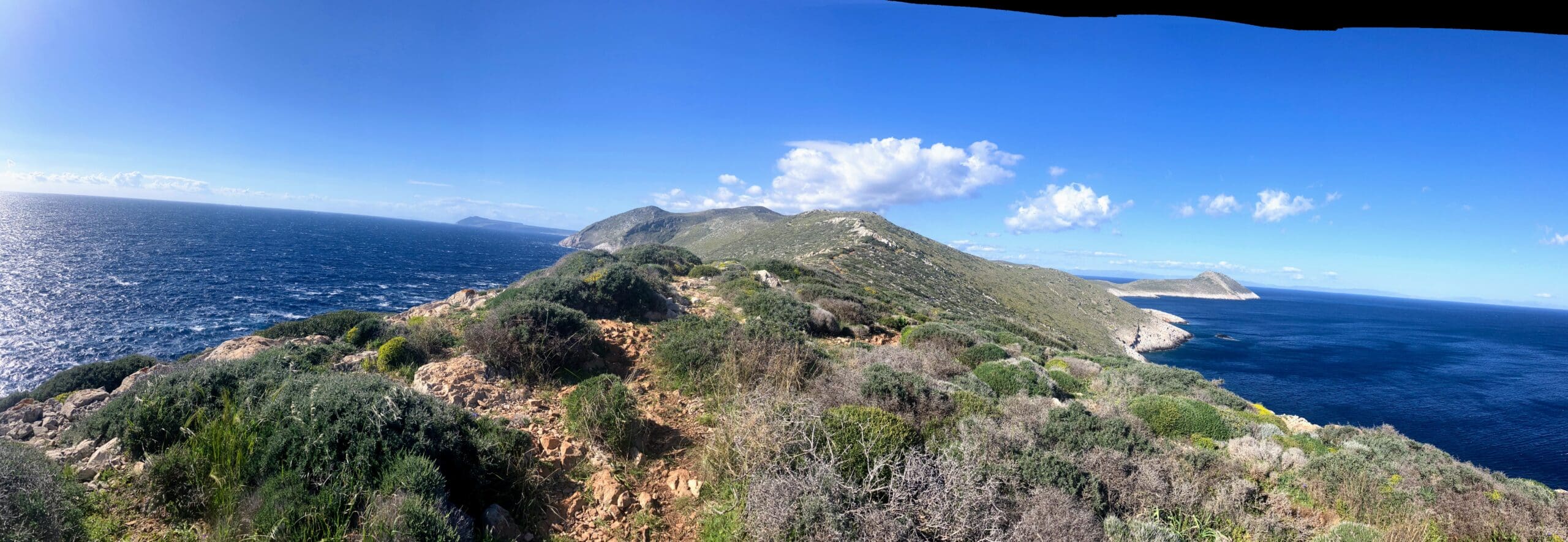 Photo from Google Photos (38)